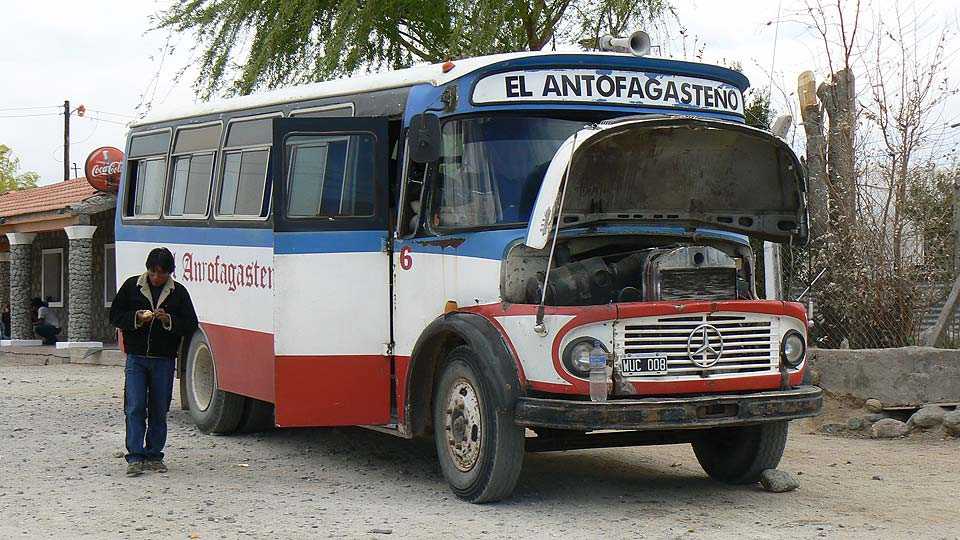 Antofagasteo-1