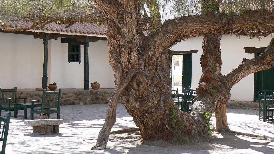 Molinos - Hostal-2